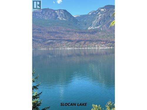 Parcel C Columbia Street, New Denver, BC 