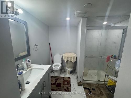 Basement - 56 Cranberry Crescent S, Brampton, ON - Indoor Photo Showing Bathroom