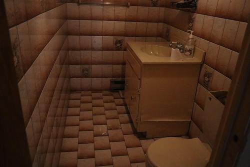 Bathroom - 1021  - 1023 Rue Dutrisac, Montréal (Saint-Laurent), QC - Indoor Photo Showing Bathroom