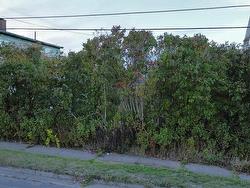 Swan Street  Sydney, NS B1N 2L9