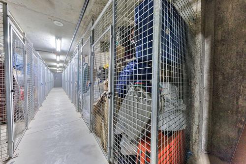 Rangement - 206-603 Rue Robert-Élie, Laval (Laval-Des-Rapides), QC - Indoor