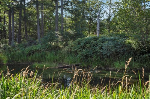 8856 Mclarey Ave, Black Creek, BC 