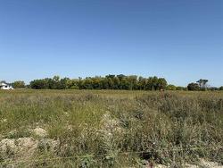 41 Sherwood Bay  Grunthal, MB R0A 0R0