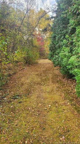 0 Rte 118, South Nelson, NB 