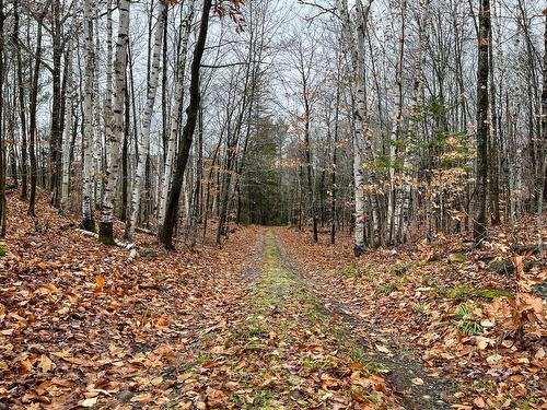 Land/Lot - Ch. Pierre-Péladeau, Sainte-Adèle, QC 