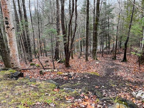 Land/Lot - Ch. Pierre-Péladeau, Sainte-Adèle, QC 