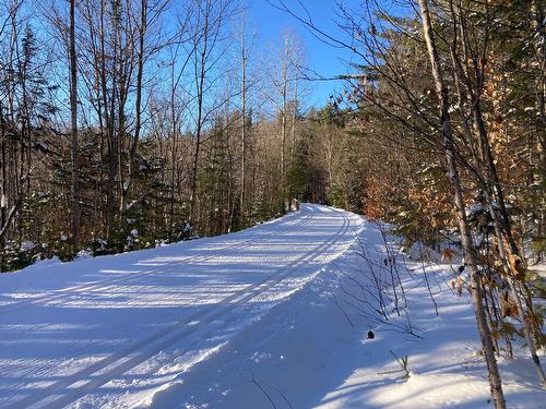 Other - Ch. Pierre-Péladeau, Sainte-Adèle, QC 