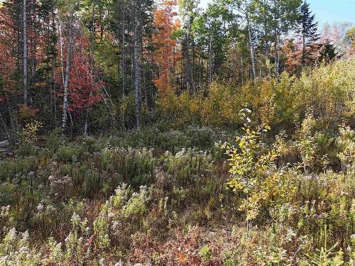 Lot Chesley Road, Barss Corner, NS 