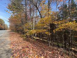 Ch. de la Sauvagine  Mont-Blanc, QC J0T 1J2