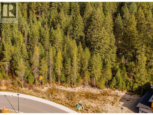 1541 Cedar Street, Golden, BC 