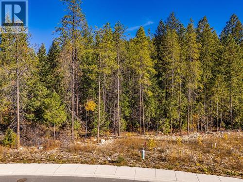 1541 Cedar Street, Golden, BC 