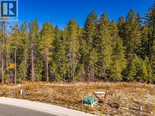 1541 Cedar Street, Golden, BC 