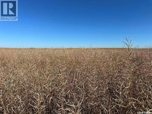 1720 Acres Farmland In Rm Browning, Lampman, SK 