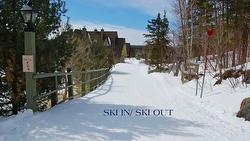 3-206 Ch. de la Forêt  Mont-Tremblant, QC J8E 3K8