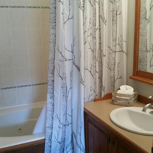 Bathroom - 3-206 Ch. De La Forêt, Mont-Tremblant, QC - Indoor Photo Showing Bathroom