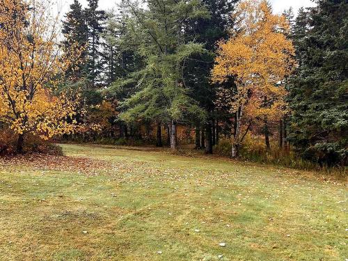 3030 Macleod Avenue, River Ryan, NS 