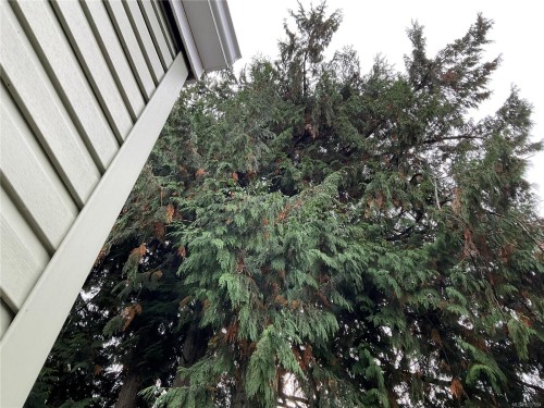 3-1074 Old Victoria Rd, Nanaimo, BC 