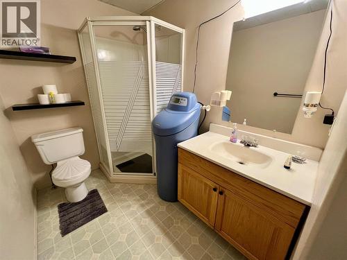 10710 Cottonwood Crescent, Dawson Creek, BC - Indoor Photo Showing Bathroom