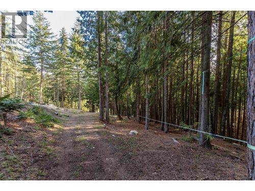 8028 Jackpine Road, Vernon, BC - Outdoor With View