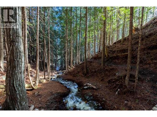 8028 Jackpine Road, Vernon, BC - Outdoor With View