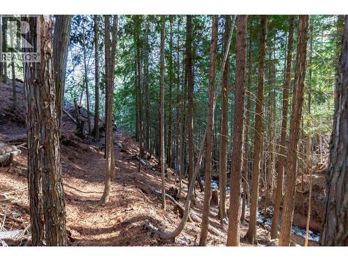 8028 Jackpine Road, Vernon, BC - Outdoor With View