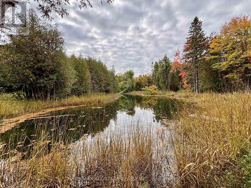 14200 Sideroad 18, Brock, ON - Outdoor With View