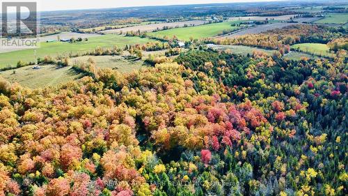 14200 Sideroad 18, Brock, ON - Outdoor With View