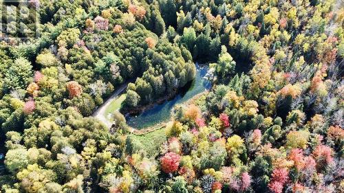 14200 Sideroad 18, Brock, ON - Outdoor With View