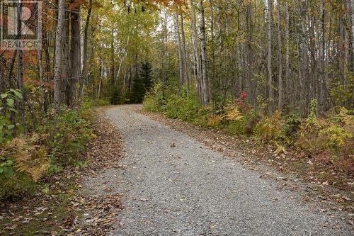 200 Watson Rd, Echo Bay, ON - Outdoor With View