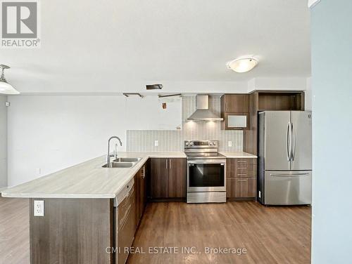 62 Sherway Street, Hamilton, ON - Indoor Photo Showing Kitchen With Double Sink With Upgraded Kitchen