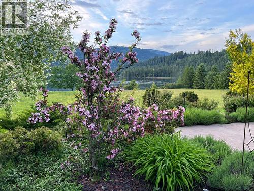 2719 Davidson Road, Shoreacres, BC - Outdoor With View