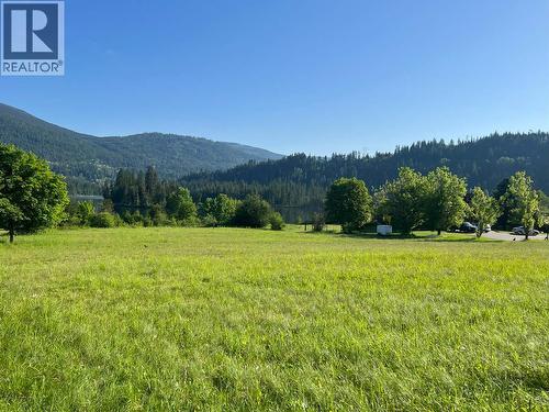 2719 Davidson Road, Shoreacres, BC - Outdoor With View