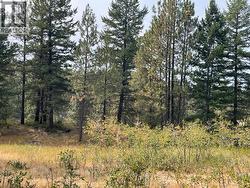 100 Cougar Court  Osoyoos, BC V0H 1V6