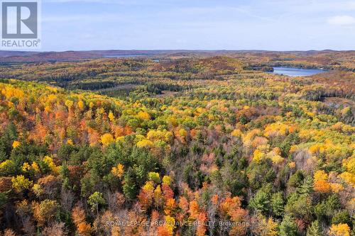 732 Old Barry'S Bay Road, Madawaska Valley, ON 