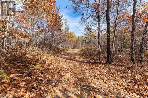 732 Old Barry'S Bay Road, Madawaska Valley, ON 