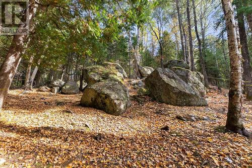 732 Old Barry'S Bay Road, Madawaska Valley, ON 