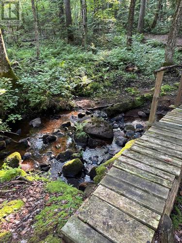 732 Old Barry'S Bay Road, Madawaska Valley, ON 