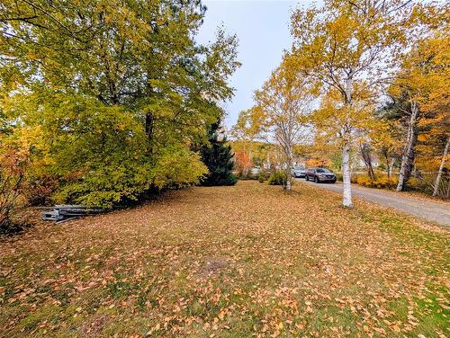 210 Jr Smallwood Boulevard, Gambo, NL 