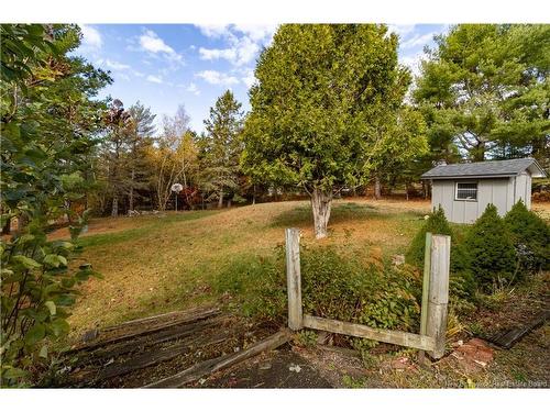 45 Tavener, Picadilly, NB 