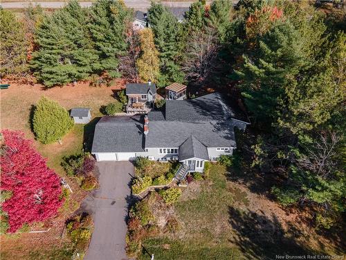 45 Tavener, Picadilly, NB 