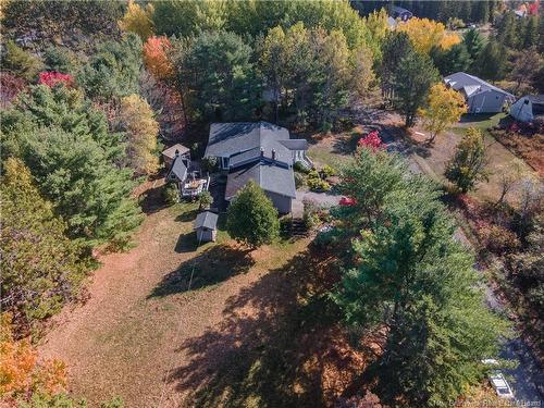 45 Tavener, Picadilly, NB 