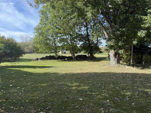 84 Roosevelt Avenue, Truro, NS 