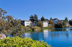 208-69 Gorge Rd WEST Saanich, BC V9A 1L9