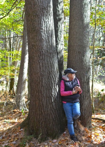 Terre à bois - 1099 Ch. De L'Achigan E., Sainte-Sophie, QC 