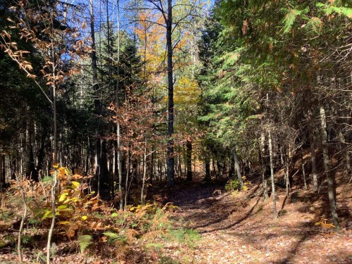 Boisé - 1099 Ch. De L'Achigan E., Sainte-Sophie, QC 