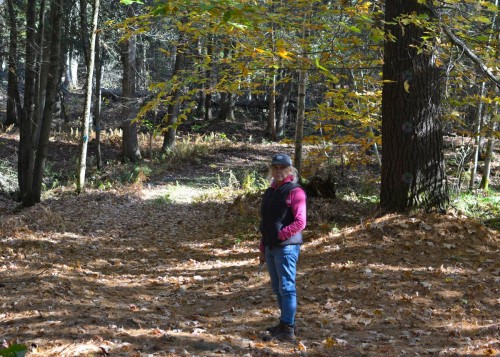 Terre à bois - 1099 Ch. De L'Achigan E., Sainte-Sophie, QC 