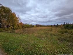 8782sm Blvd des Acadiens  Bertrand, NB E1W 1L9