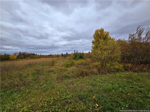 8782Sm Blvd Des Acadiens, Bertrand, NB 