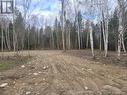 Lot 21 Con 13 Pt 3, Papineau-Cameron (Papineau Cameron), ON 