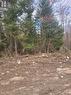 Lot 21 Con 13 Pt 3, Papineau-Cameron (Papineau Cameron), ON 
